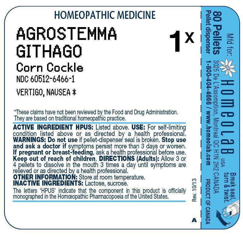 AGROSTEMMA GITHAGO